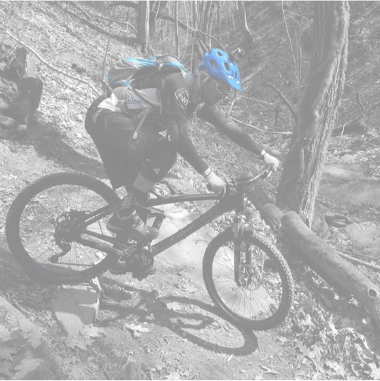 Tecniche di guida della MTB